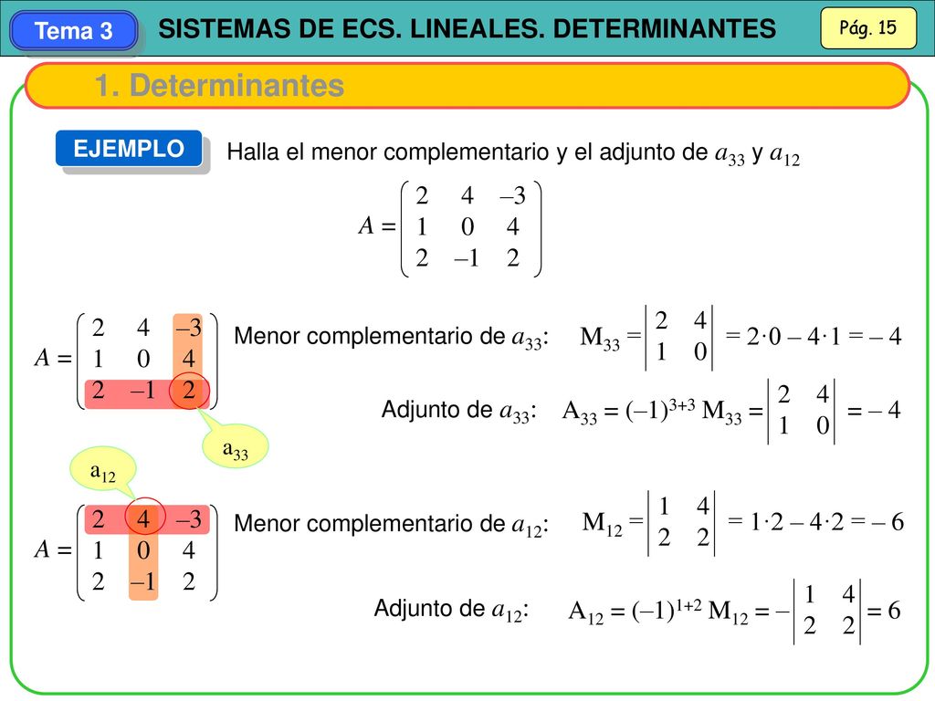 1. Determinantes EJEMPLO. Halla el menor complementario y el adjunto de a33 y a –3.