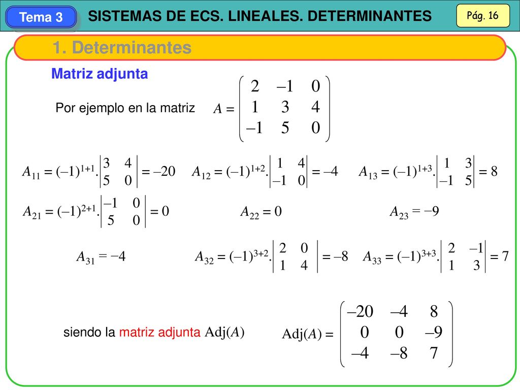 1. Determinantes 2 – –1 5 0 –20 – –9 –4 –8 7