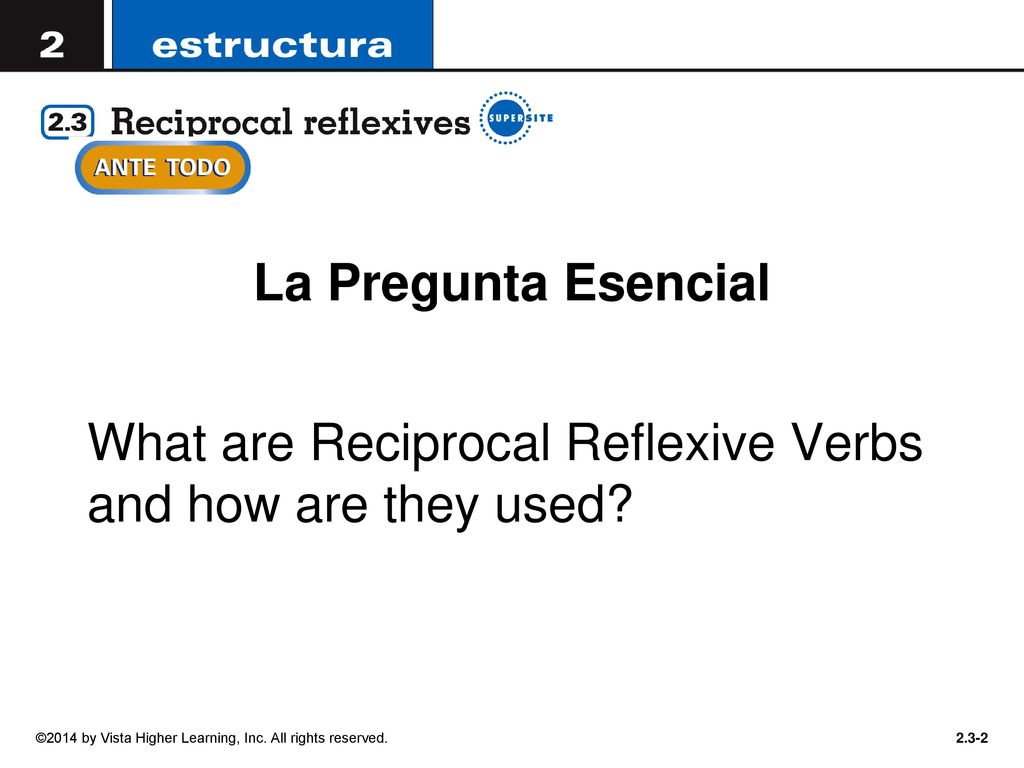 What are Reciprocal Reflexive Verbs and how are they used