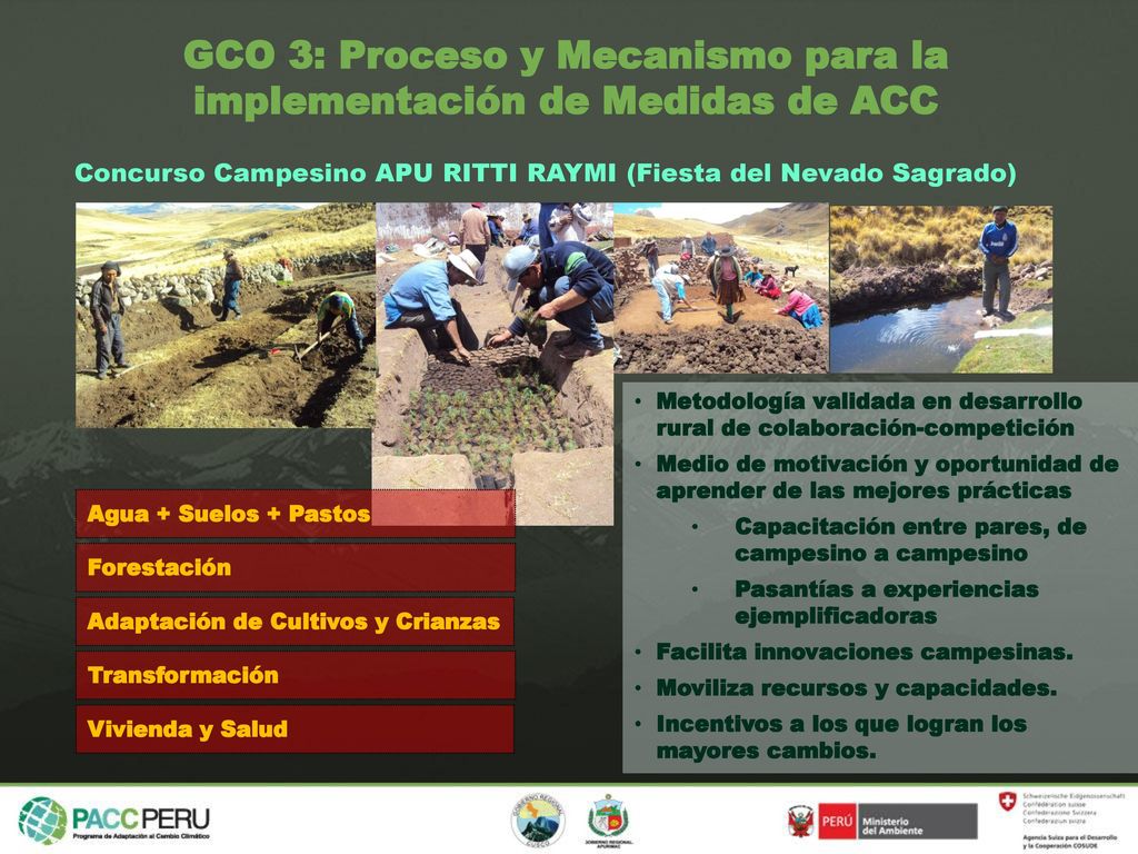 GCO 3: Proceso y Mecanismo para la implementación de Medidas de ACC