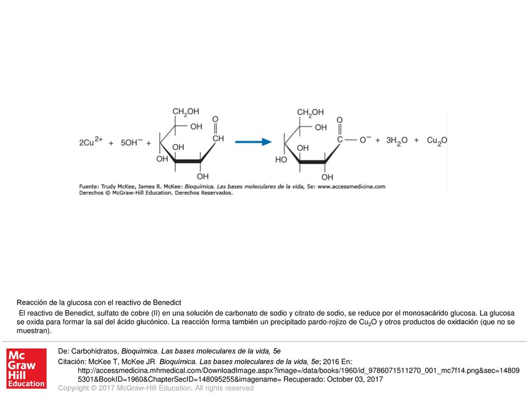 El reactivo de Benedict, sulfato de cobre (II) en una solución de carbonato de sodio y citrato de sodio, se reduce por el monosacárido glucosa. La glucosa se oxida para formar la sal del ácido glucónico. La reacción forma también un precipitado pardo-rojizo de Cu2O y otros productos de oxidación (que no se muestran).