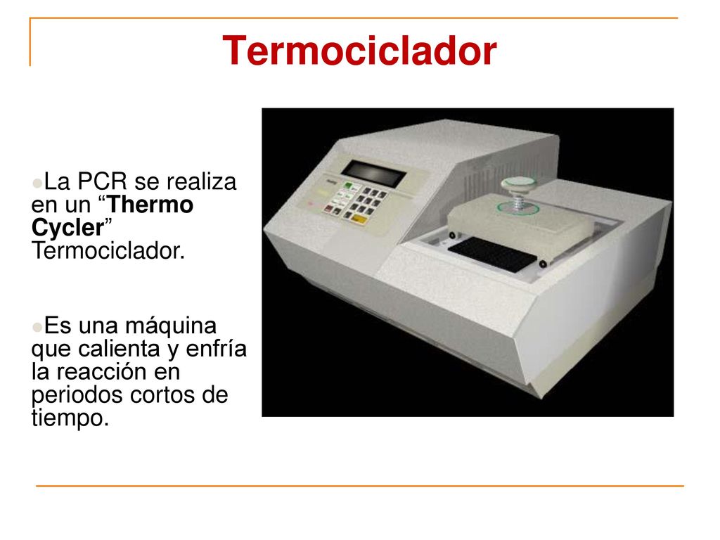 Termociclador La PCR se realiza en un Thermo Cycler Termociclador.