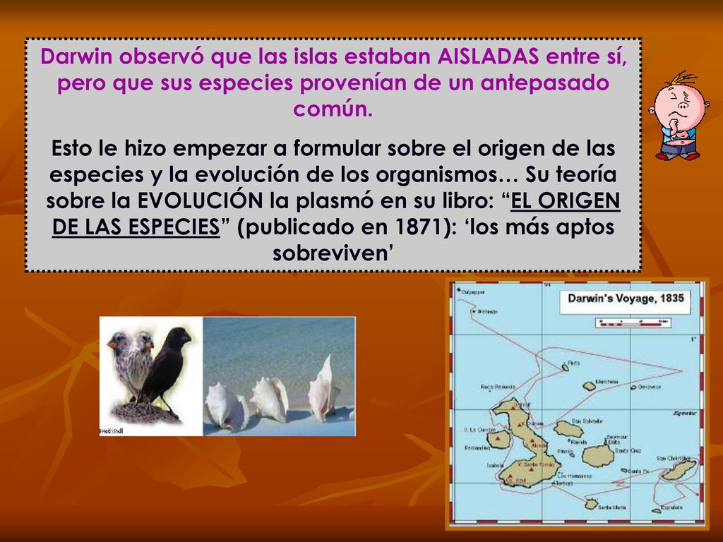 Darwin observó que las islas estaban AISLADAS entre sí, pero que sus especies provenían de un antepasado común.