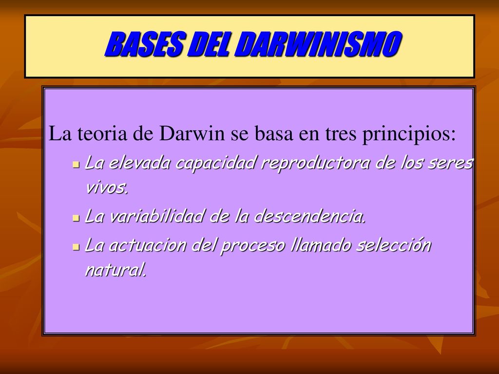 BASES DEL DARWINISMO La teoria de Darwin se basa en tres principios: