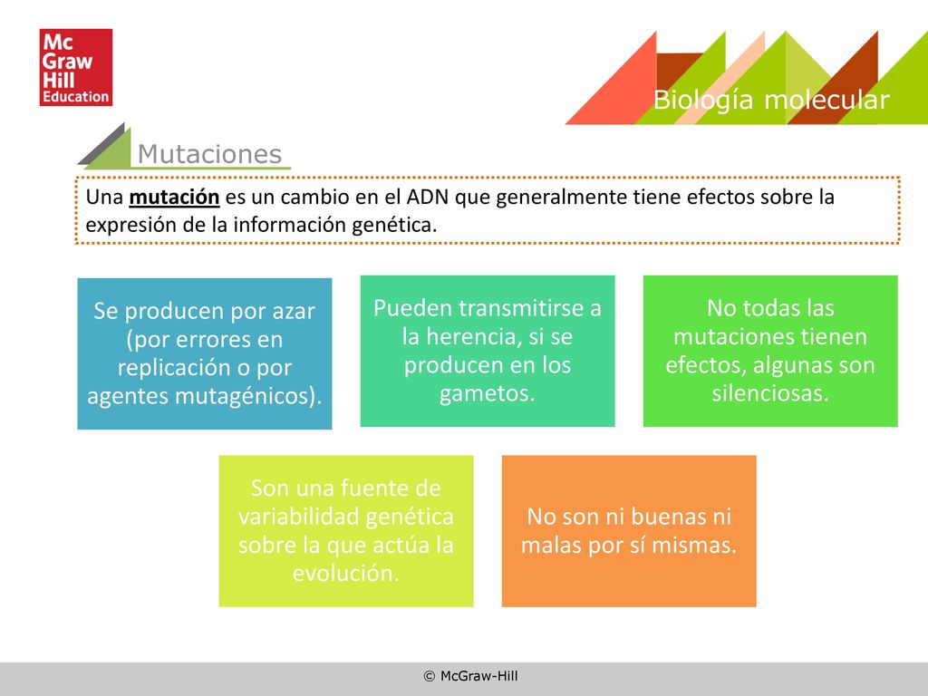 Pueden transmitirse a la herencia, si se producen en los gametos.
