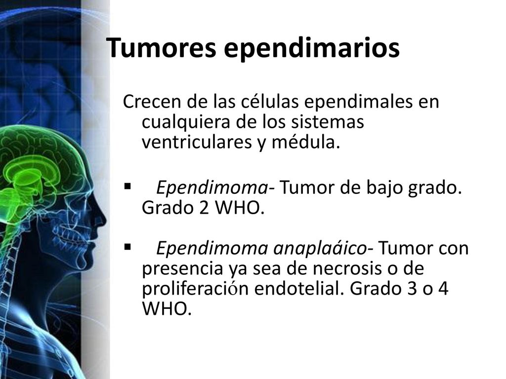 Tumores ependimarios Crecen de las células ependimales en cualquiera de los sistemas ventriculares y médula.