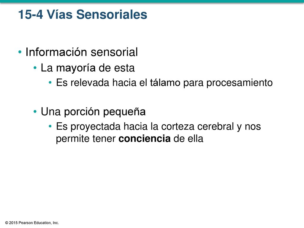 15-4 Vías Sensoriales Información sensorial La mayoría de esta