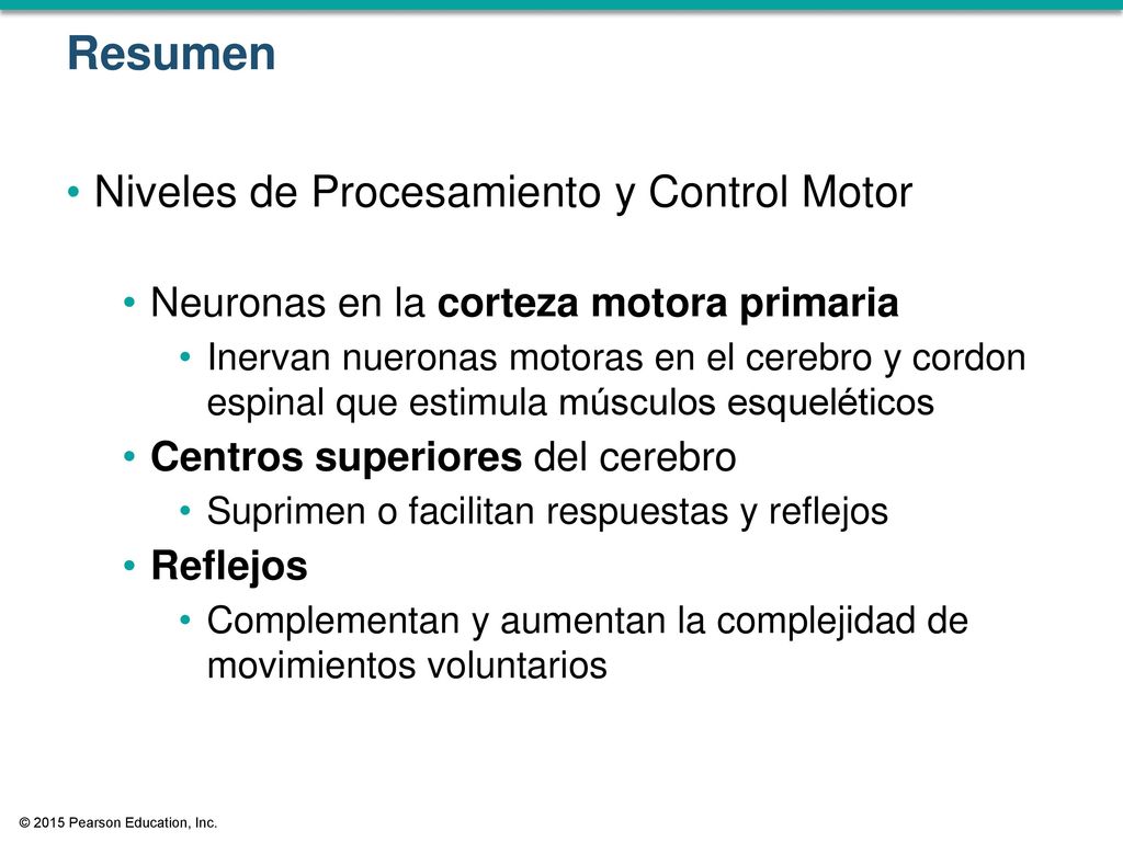 Resumen Niveles de Procesamiento y Control Motor