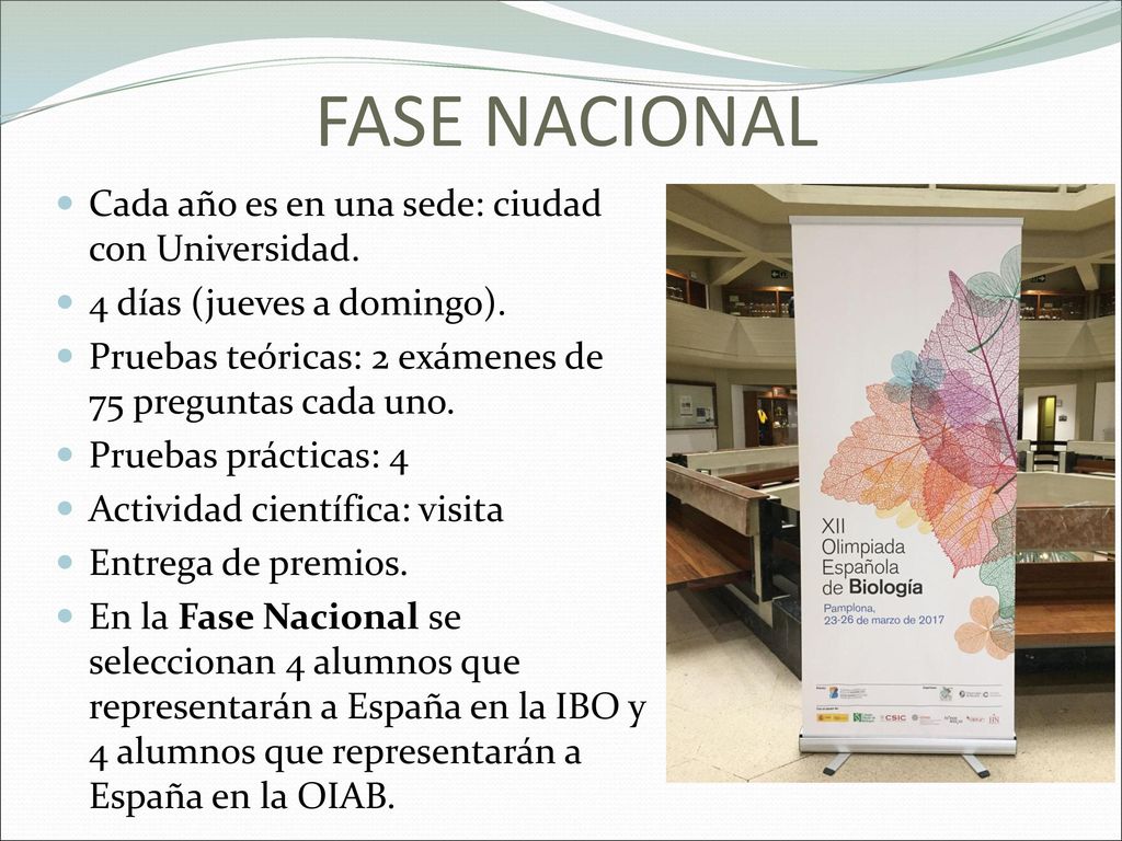 FASE NACIONAL Cada año es en una sede: ciudad con Universidad.