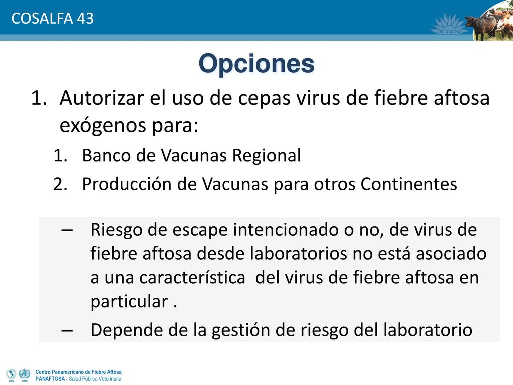 Opciones Autorizar el uso de cepas virus de fiebre aftosa exógenos para: Banco de Vacunas Regional.