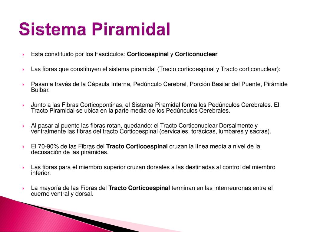 Sistema Piramidal Esta constituido por los Fascículos: Corticoespinal y Corticonuclear.