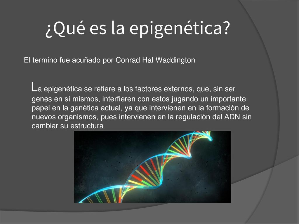 ¿Qué es la epigenética El termino fue acuñado por Conrad Hal Waddington.
