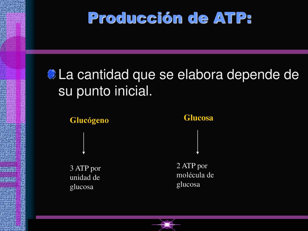Producción de ATP: La cantidad que se elabora depende de su punto inicial. Glucosa. Glucógeno. 2 ATP por molécula de glucosa.
