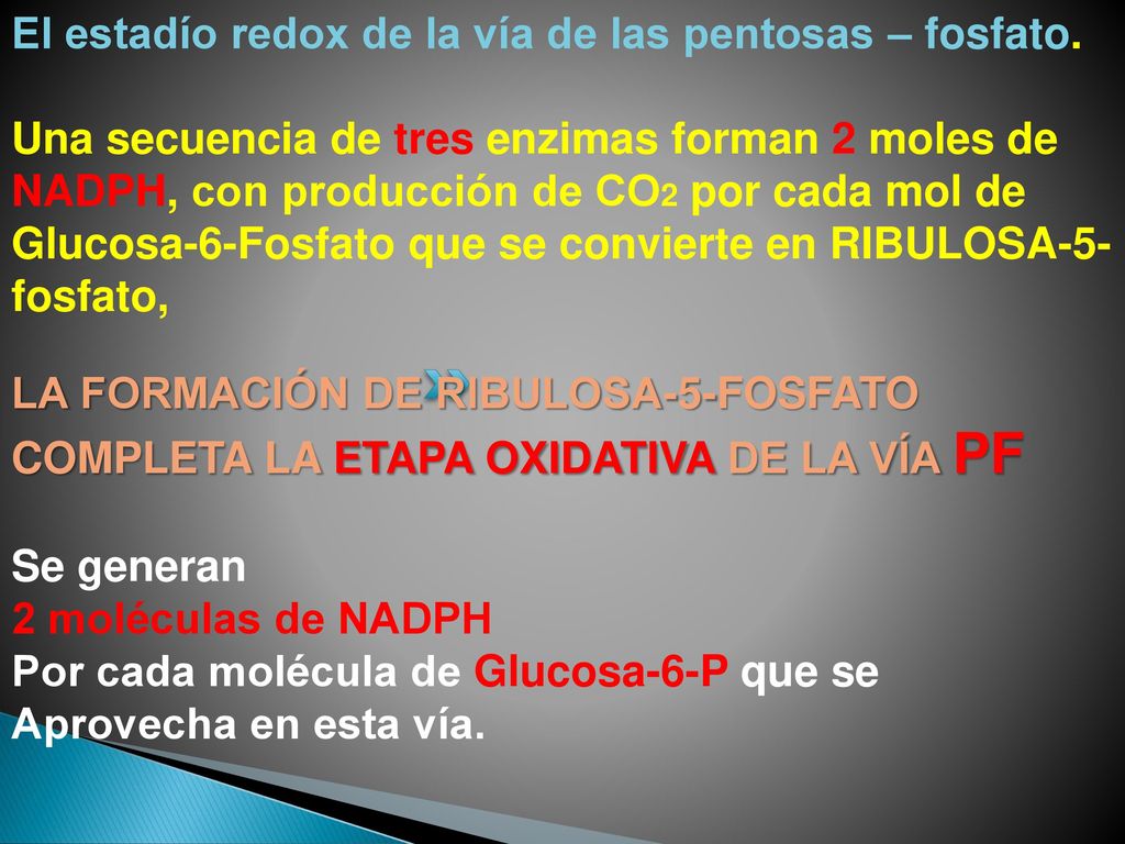 El estadío redox de la vía de las pentosas – fosfato.