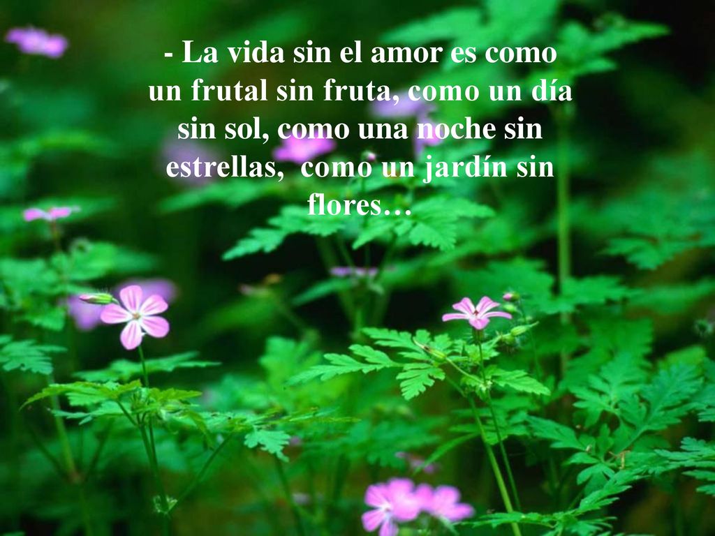 - La vida sin el amor es como un frutal sin fruta, como un día sin sol, como una noche sin estrellas, como un jardín sin flores…