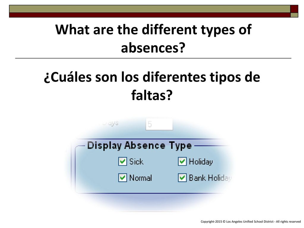 What are the different types of absences