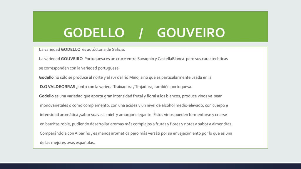 GODELLO / GOUVEIRO La variedad GODELLO es autóctona de Galicia.