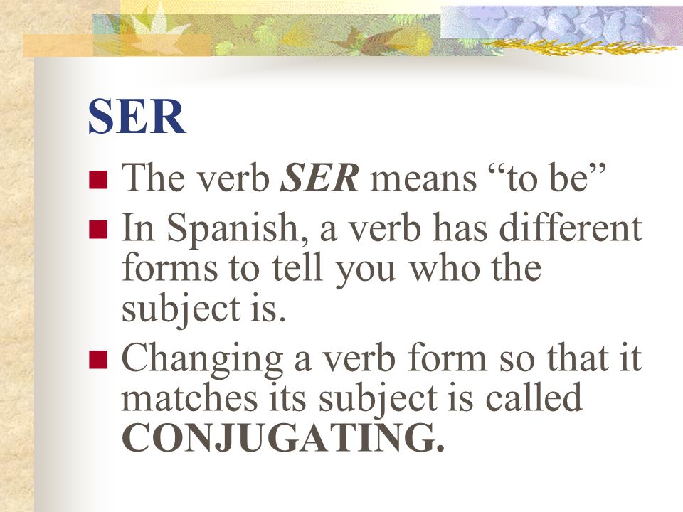 SER The verb SER means to be
