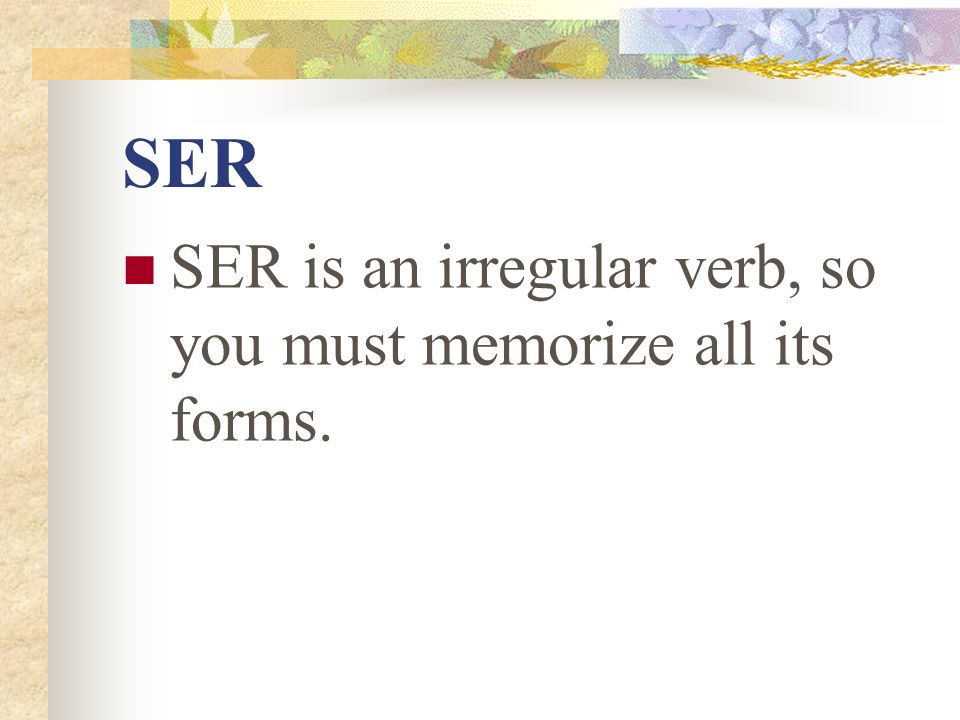 SER SER is an irregular verb, so you must memorize all its forms.