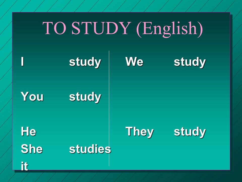 TO STUDY (English) I study You study He She studies it We study