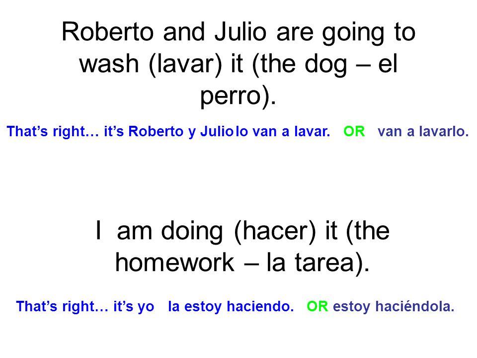 Roberto and Julio are going to wash (lavar) it (the dog – el perro).