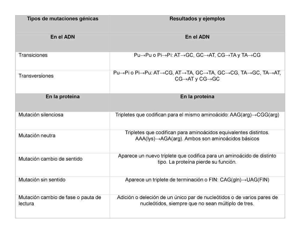 Tipos de mutaciones génicas Resultados y ejemplos