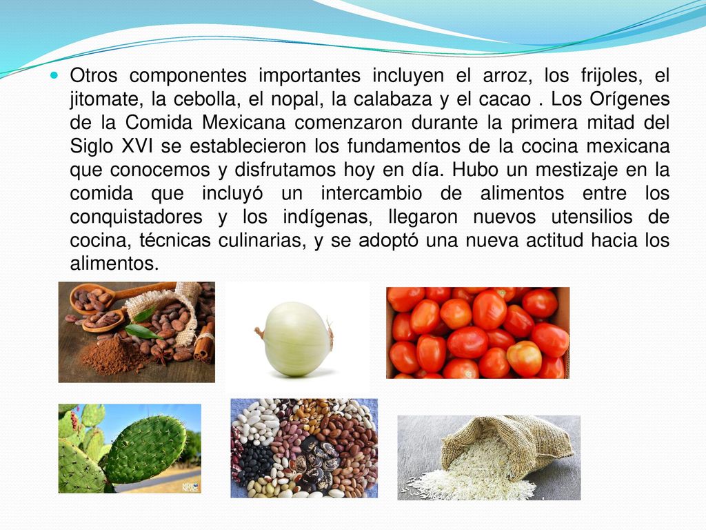 Otros componentes importantes incluyen el arroz, los frijoles, el jitomate, la cebolla, el nopal, la calabaza y el cacao . Los Orígenes de la Comida Mexicana comenzaron durante la primera mitad del Siglo XVI se establecieron los fundamentos de la cocina mexicana que conocemos y disfrutamos hoy en día.