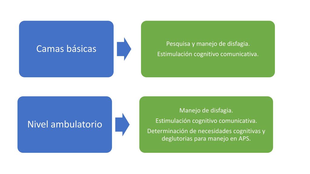 Camas básicas Nivel ambulatorio Pesquisa y manejo de disfagia.