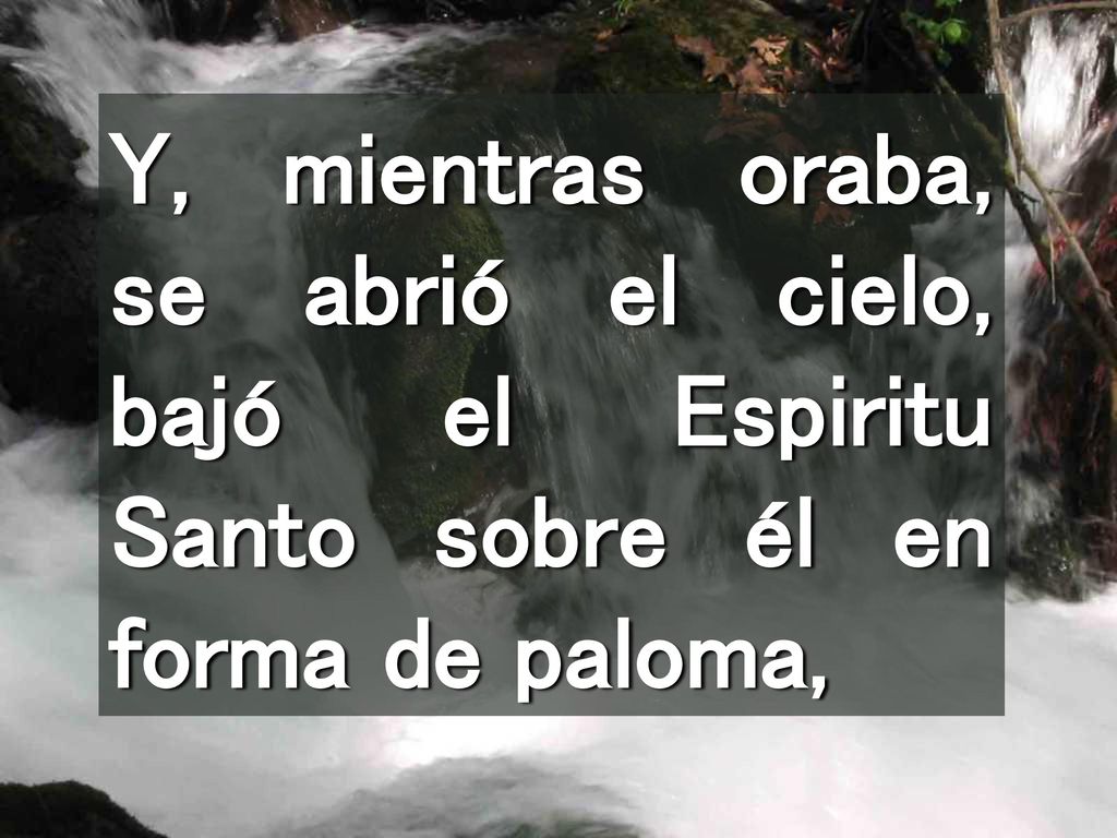 Y, mientras oraba, se abrió el cielo, bajó el Espiritu Santo sobre él en forma de paloma,