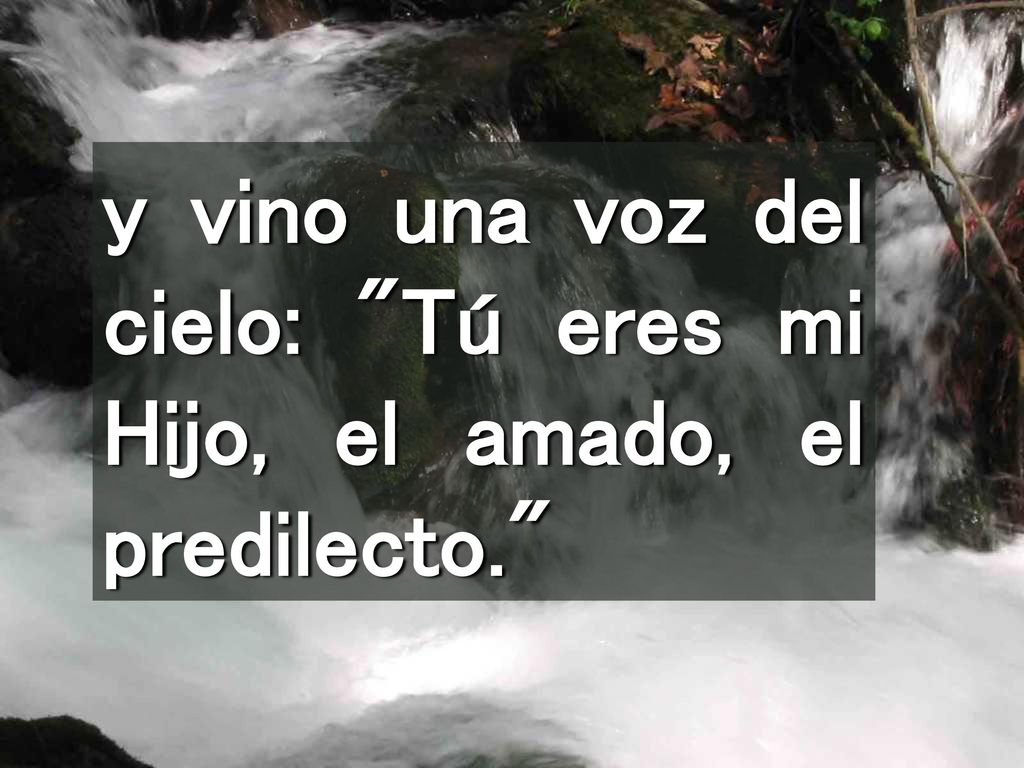 y vino una voz del cielo: Tú eres mi Hijo, el amado, el predilecto.