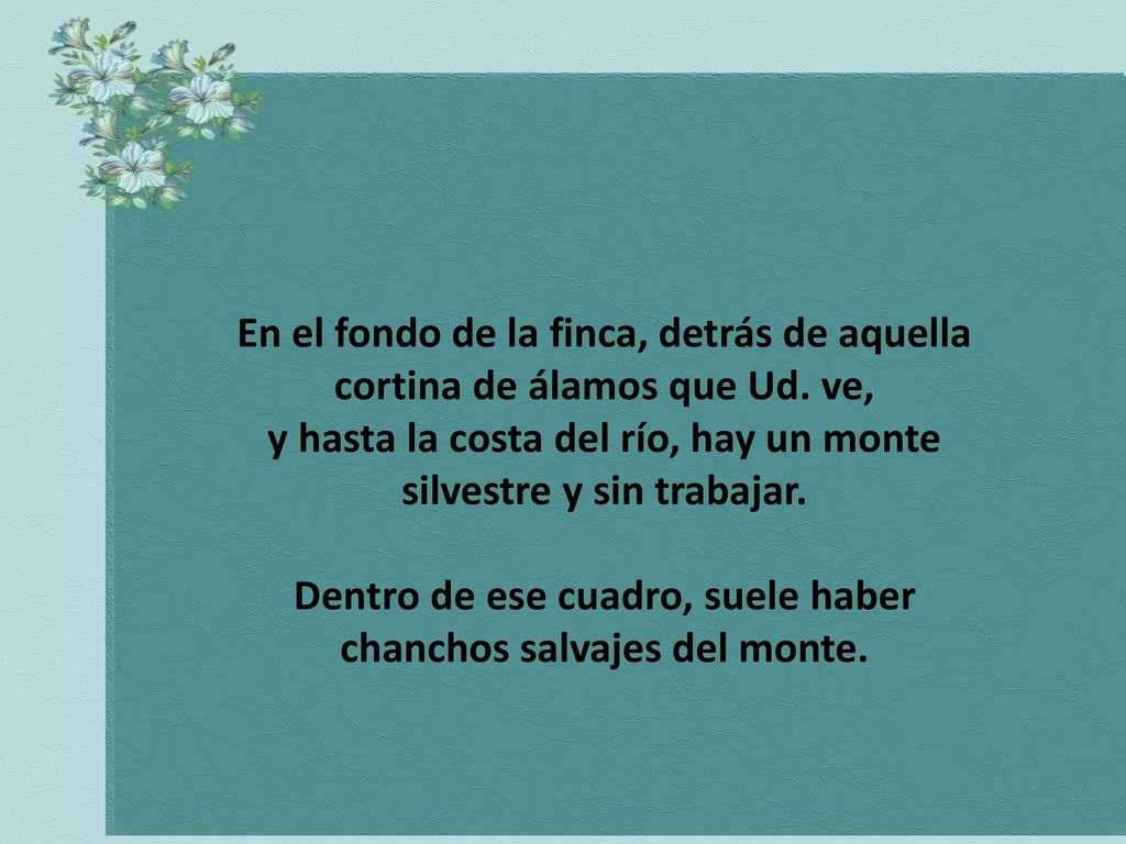 y hasta la costa del río, hay un monte silvestre y sin trabajar.