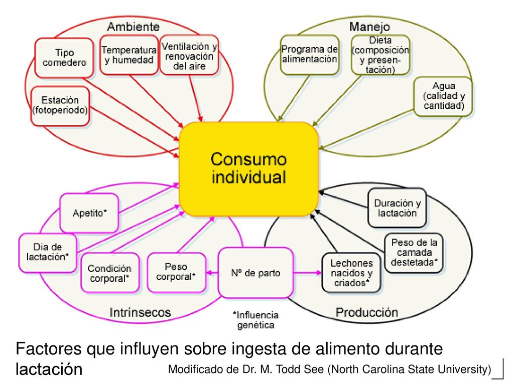Factores que influyen sobre ingesta de alimento durante lactación