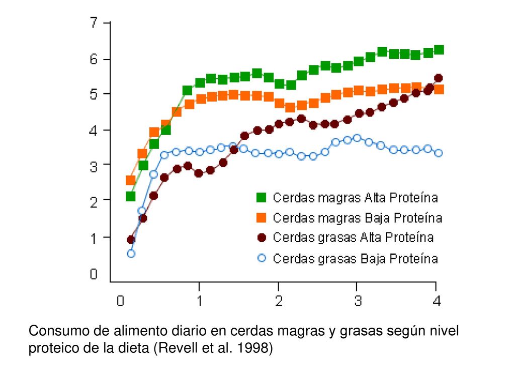Consumo de alimento diario en cerdas magras y grasas según nivel proteico de la dieta (Revell et al.