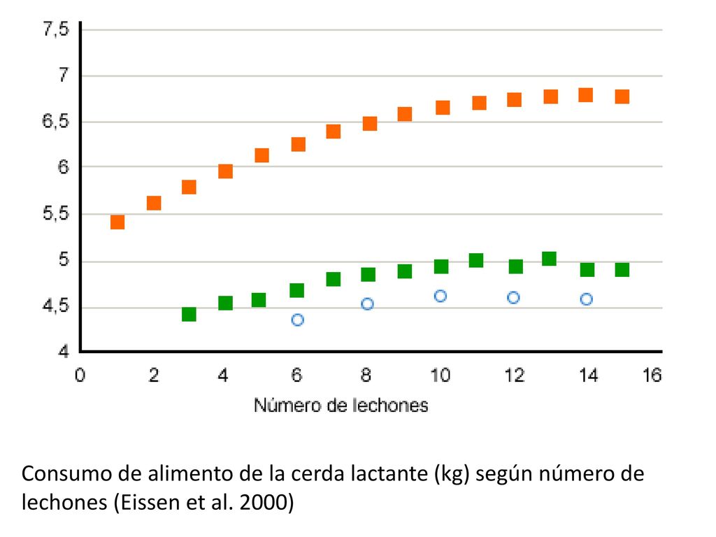 Consumo de alimento de la cerda lactante (kg) según número de lechones (Eissen et al. 2000)