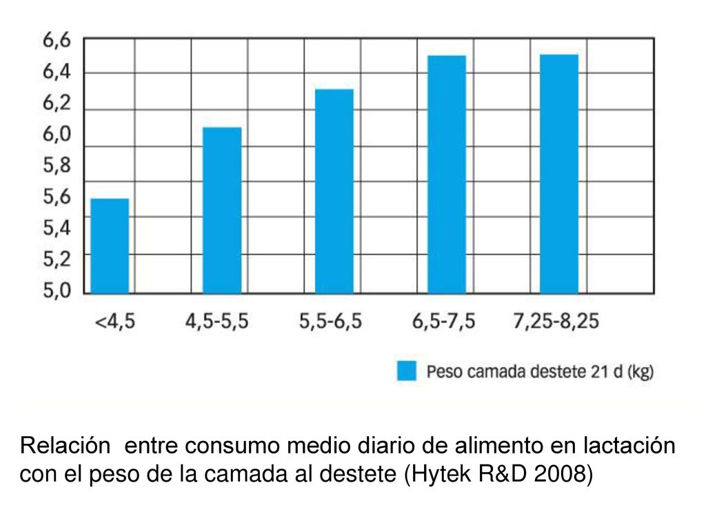 Relación entre consumo medio diario de alimento en lactación con el peso de la camada al destete (Hytek R&D 2008)