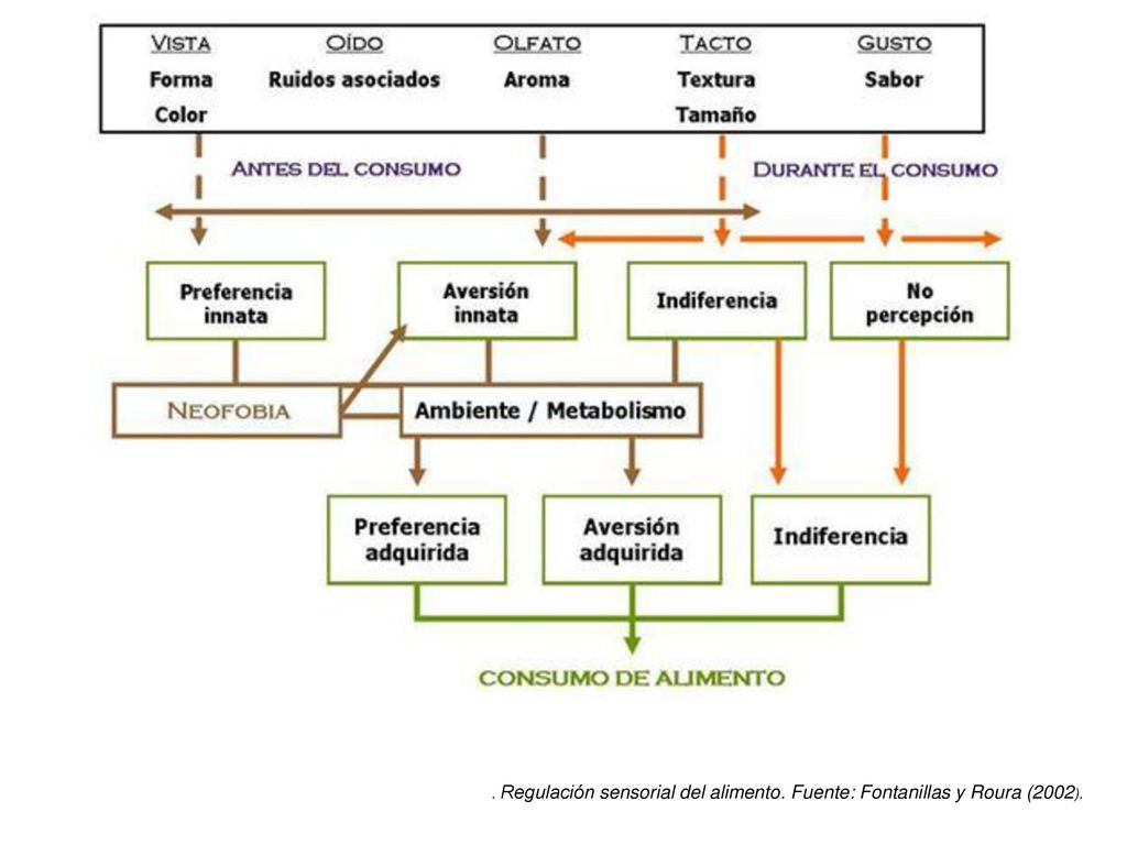. Regulación sensorial del alimento. Fuente: Fontanillas y Roura (2002).