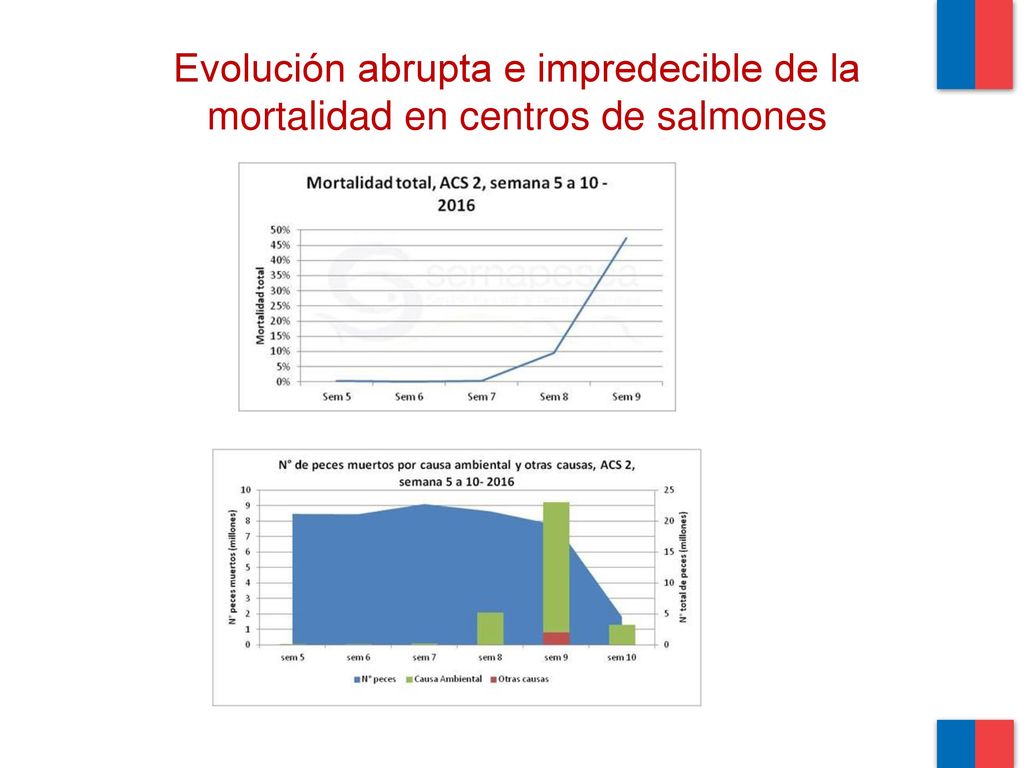 Evolución abrupta e impredecible de la mortalidad en centros de salmones