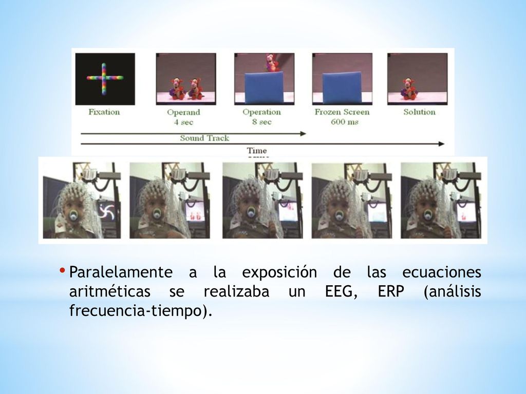 Paralelamente a la exposición de las ecuaciones aritméticas se realizaba un EEG, ERP (análisis frecuencia-tiempo).