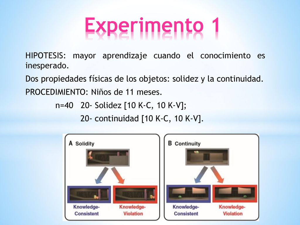 Experimento 1 HIPOTESIS: mayor aprendizaje cuando el conocimiento es inesperado. Dos propiedades físicas de los objetos: solidez y la continuidad.