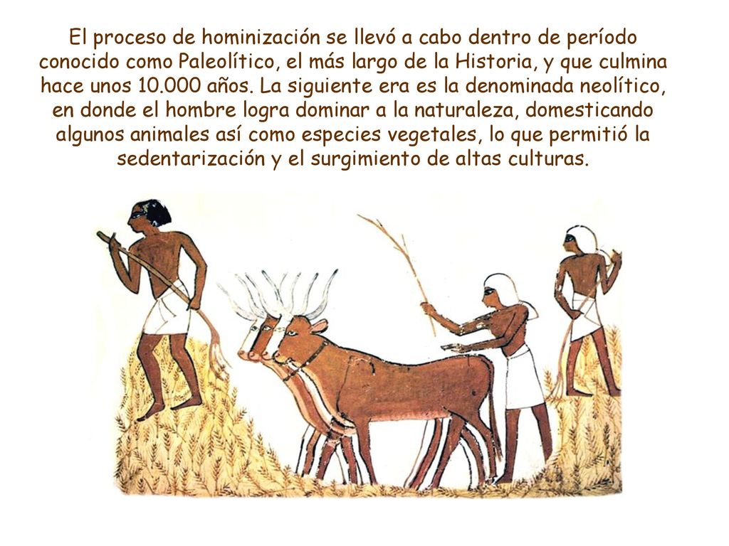 El proceso de hominización se llevó a cabo dentro de período conocido como Paleolítico, el más largo de la Historia, y que culmina hace unos años.
