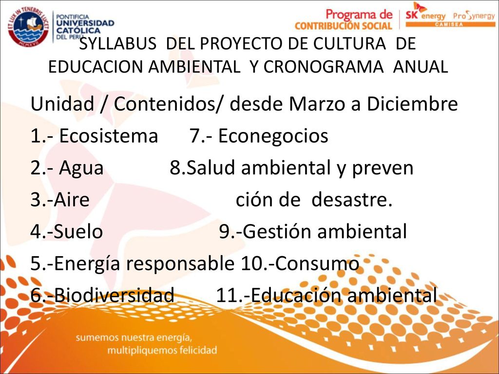 SYLLABUS DEL PROYECTO DE CULTURA DE EDUCACION AMBIENTAL Y CRONOGRAMA ANUAL