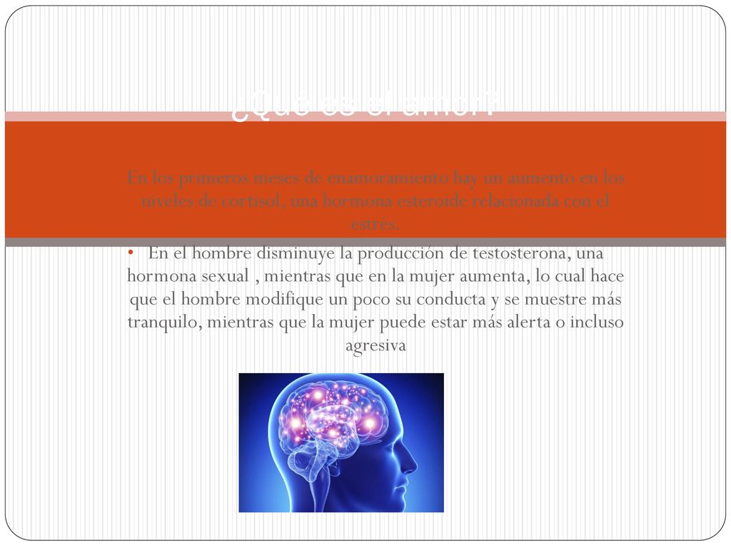¿Qué es el amor En los primeros meses de enamoramiento hay un aumento en los niveles de cortisol, una hormona esteroide relacionada con el estrés.