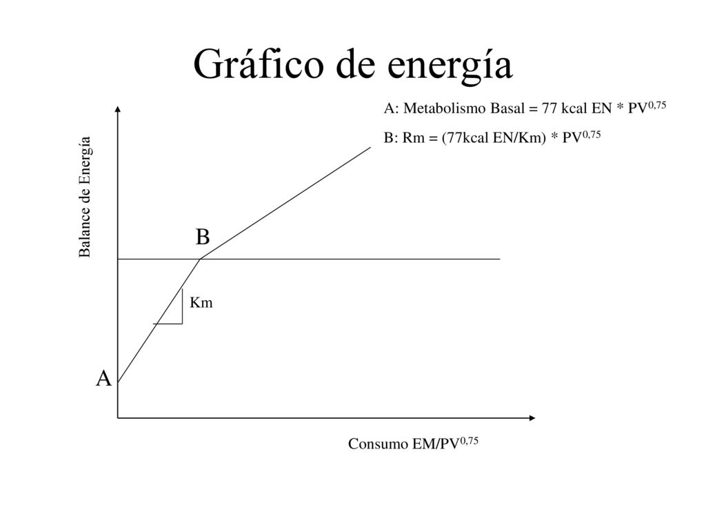 Gráfico de energía B A A: Metabolismo Basal = 77 kcal EN * PV0,75