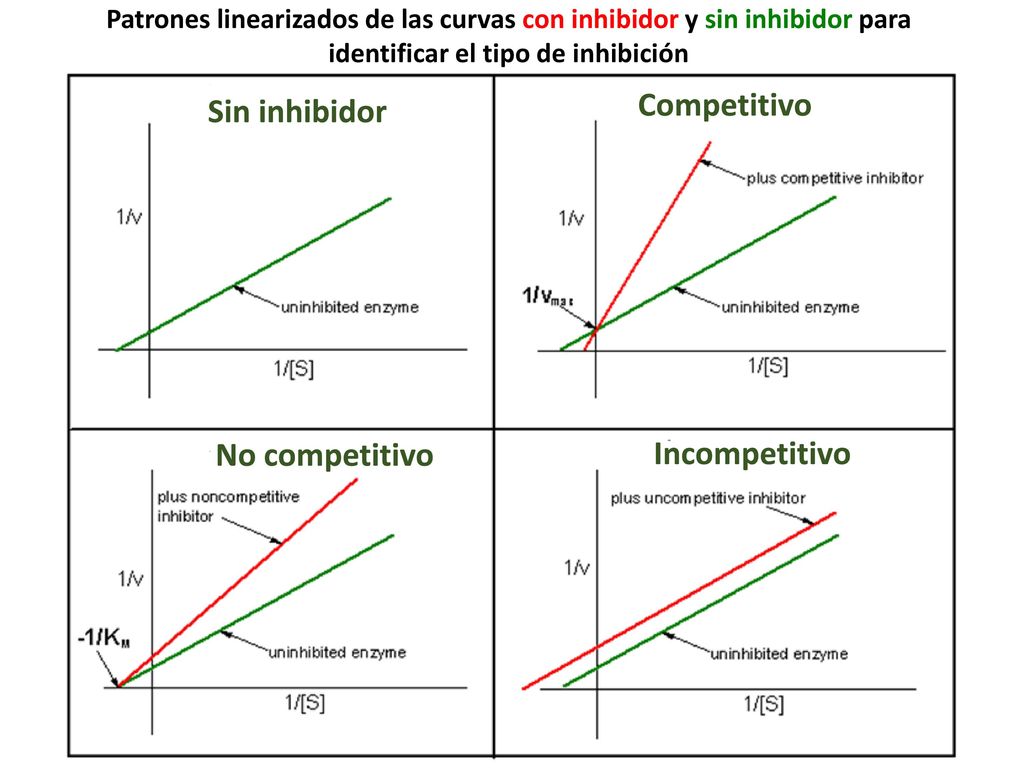 Patrones linearizados de las curvas con inhibidor y sin inhibidor para identificar el tipo de inhibición