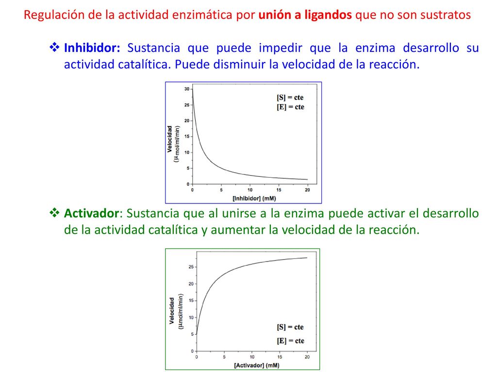 Regulación de la actividad enzimática por unión a ligandos que no son sustratos