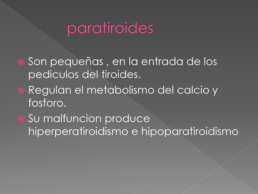 paratiroides Son pequeñas , en la entrada de los pediculos del tiroides. Regulan el metabolismo del calcio y fosforo.