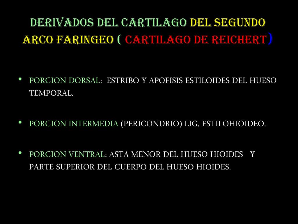 DERIVADOS DEL CARTILAGO DEL SEGUNDO ARCO FARINGEO ( CARTILAGO DE REICHERT)