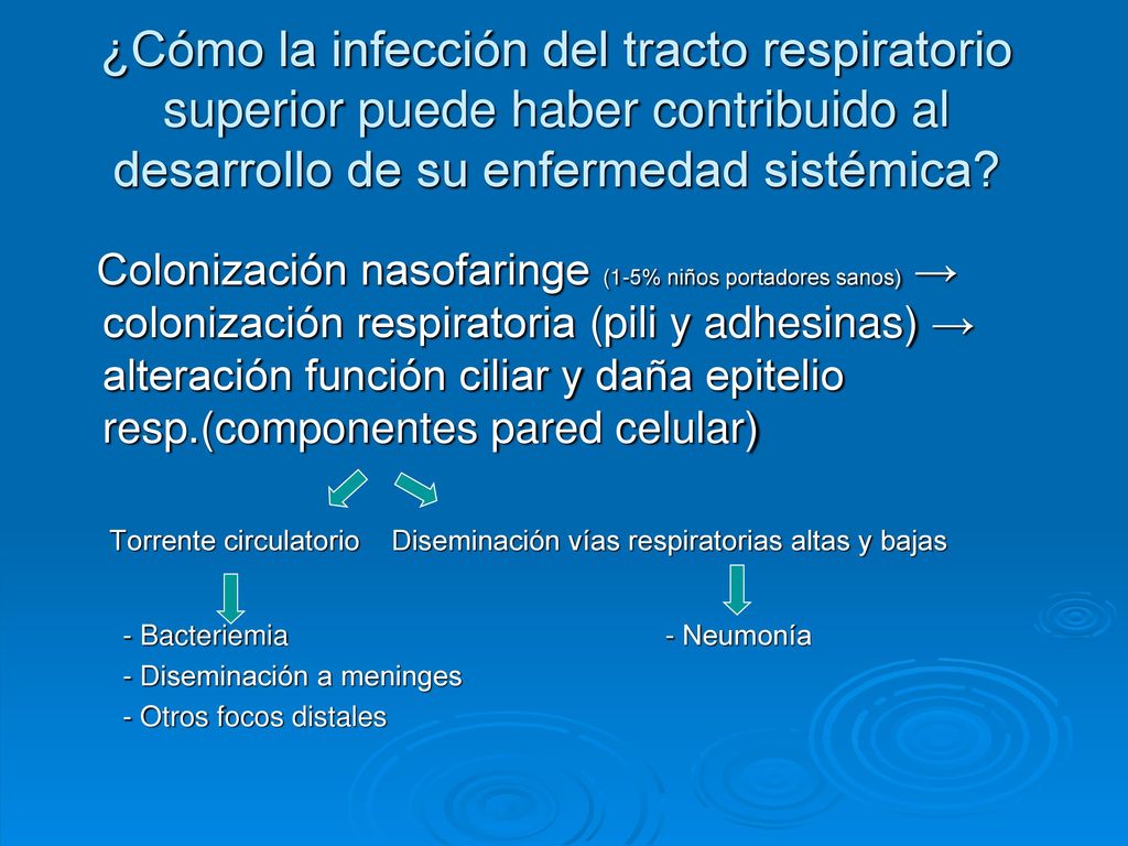 ¿Cómo la infección del tracto respiratorio superior puede haber contribuido al desarrollo de su enfermedad sistémica