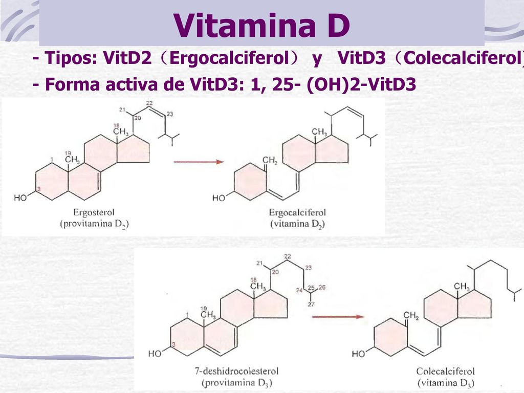 Vitamina D - Tipos: VitD2（Ergocalciferol） y VitD3（Colecalciferol)
