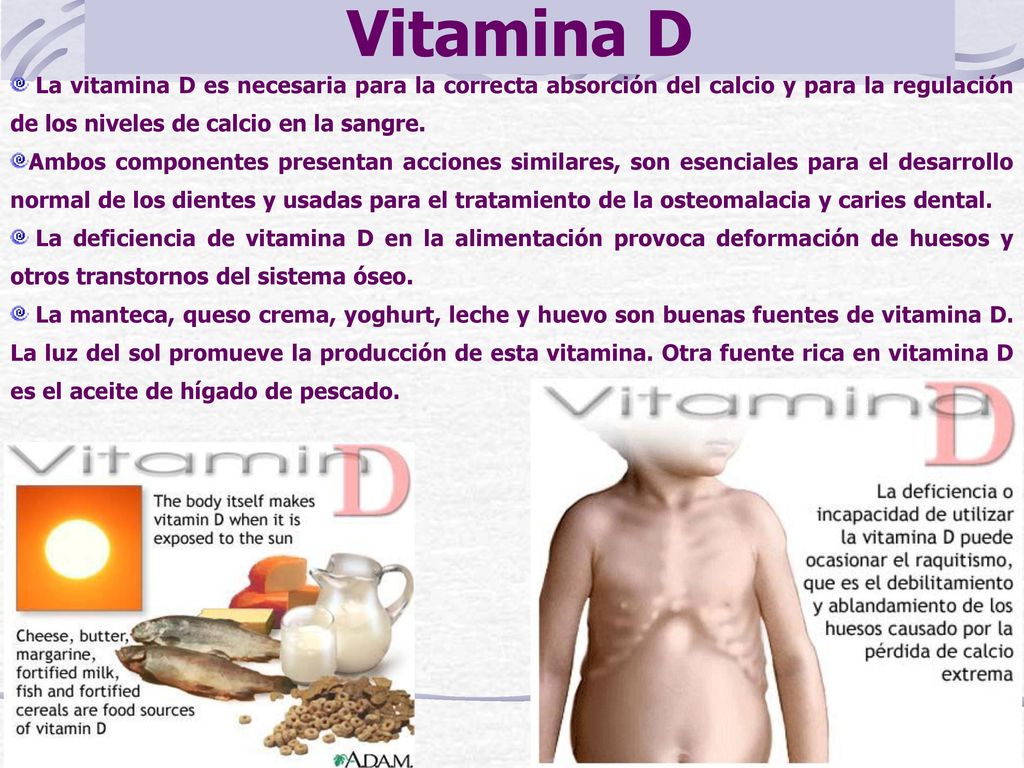Vitamina D La vitamina D es necesaria para la correcta absorción del calcio y para la regulación de los niveles de calcio en la sangre.
